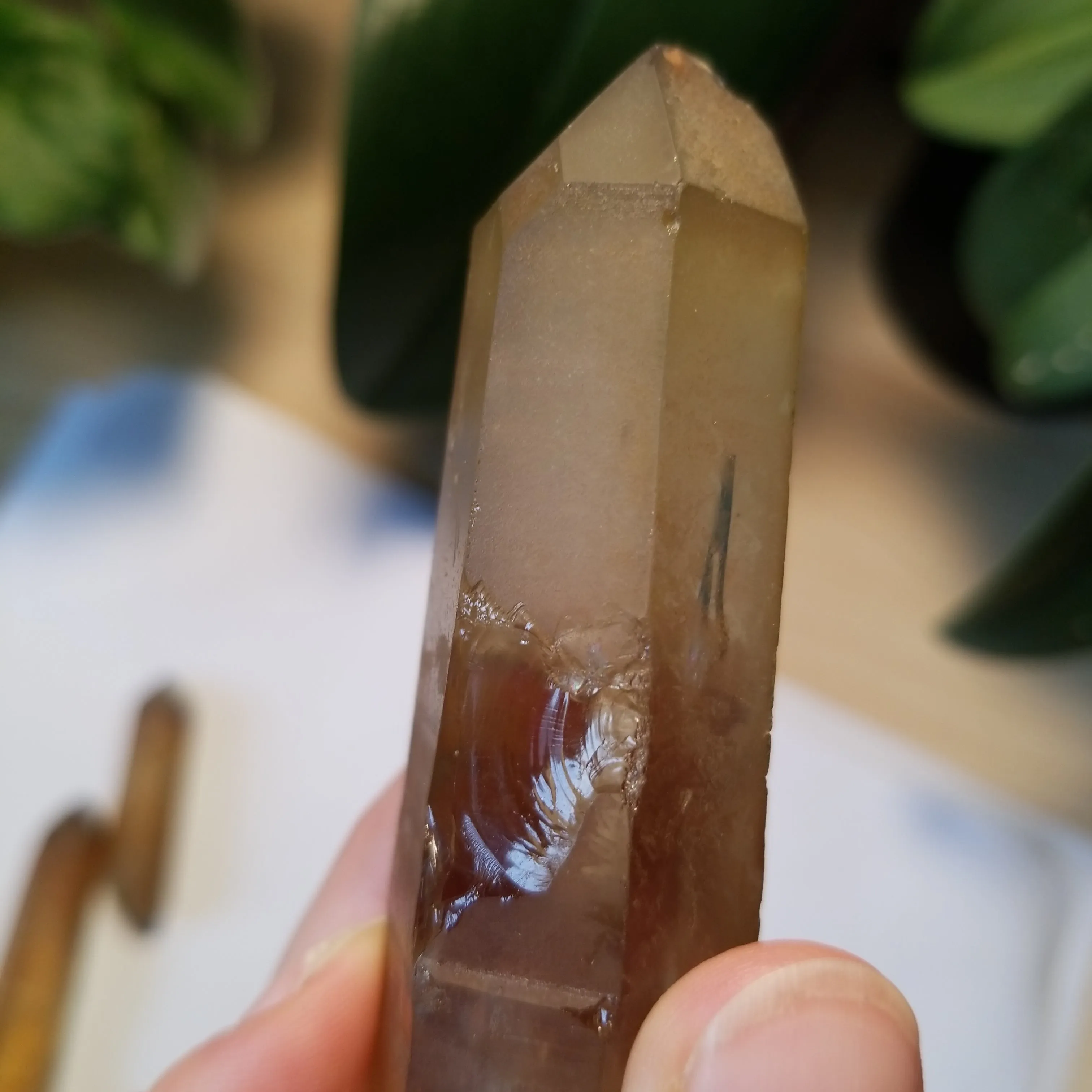 Bulk lot of 6 Natural Citrine, Citrine Quartz From Mansa, Zambia, Citrine Points