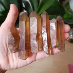 Bulk lot of 6 Natural Citrine, Citrine Quartz From Mansa, Zambia, Citrine Points