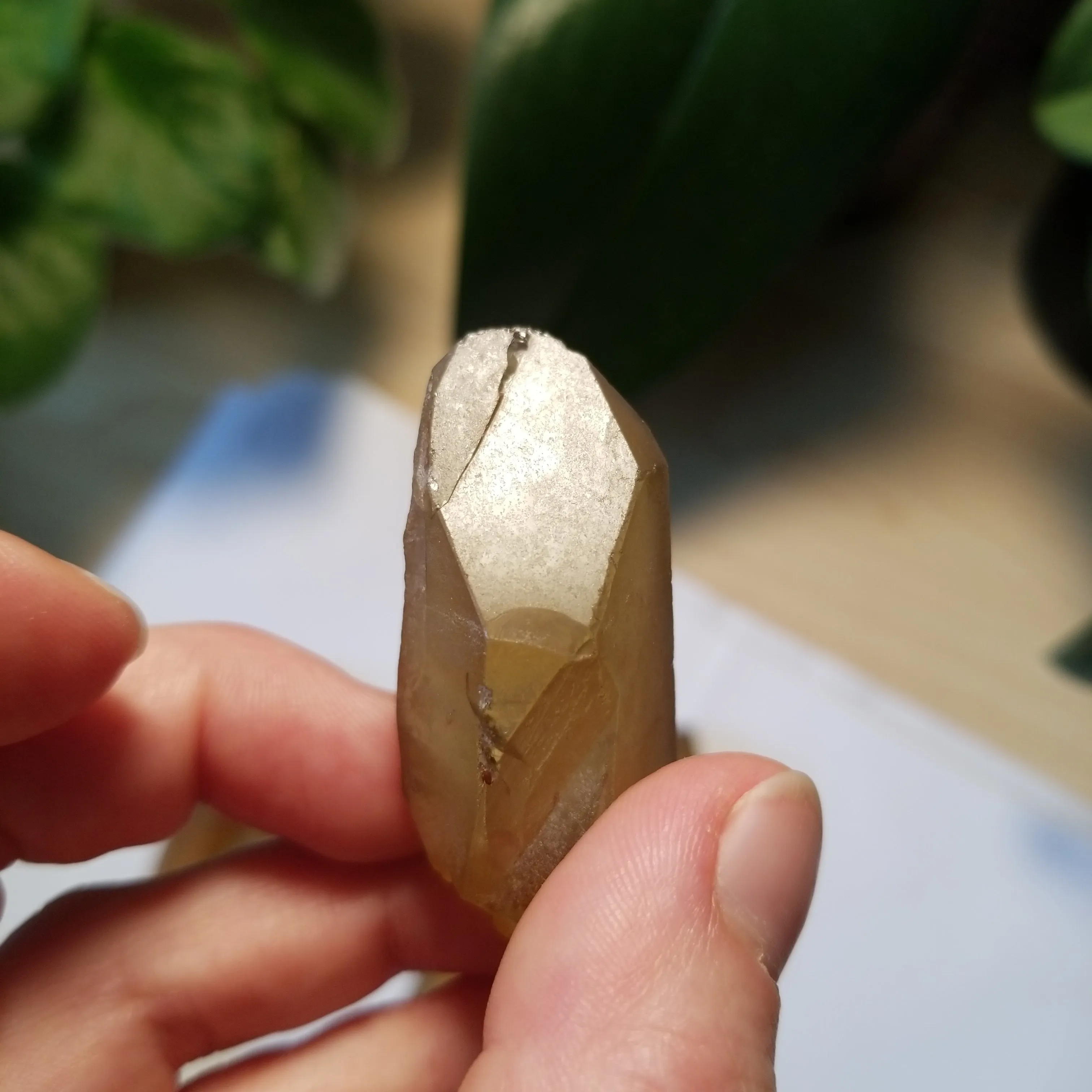 Bulk lot of 6 Natural Citrine, Citrine Quartz From Mansa, Zambia, Citrine Points