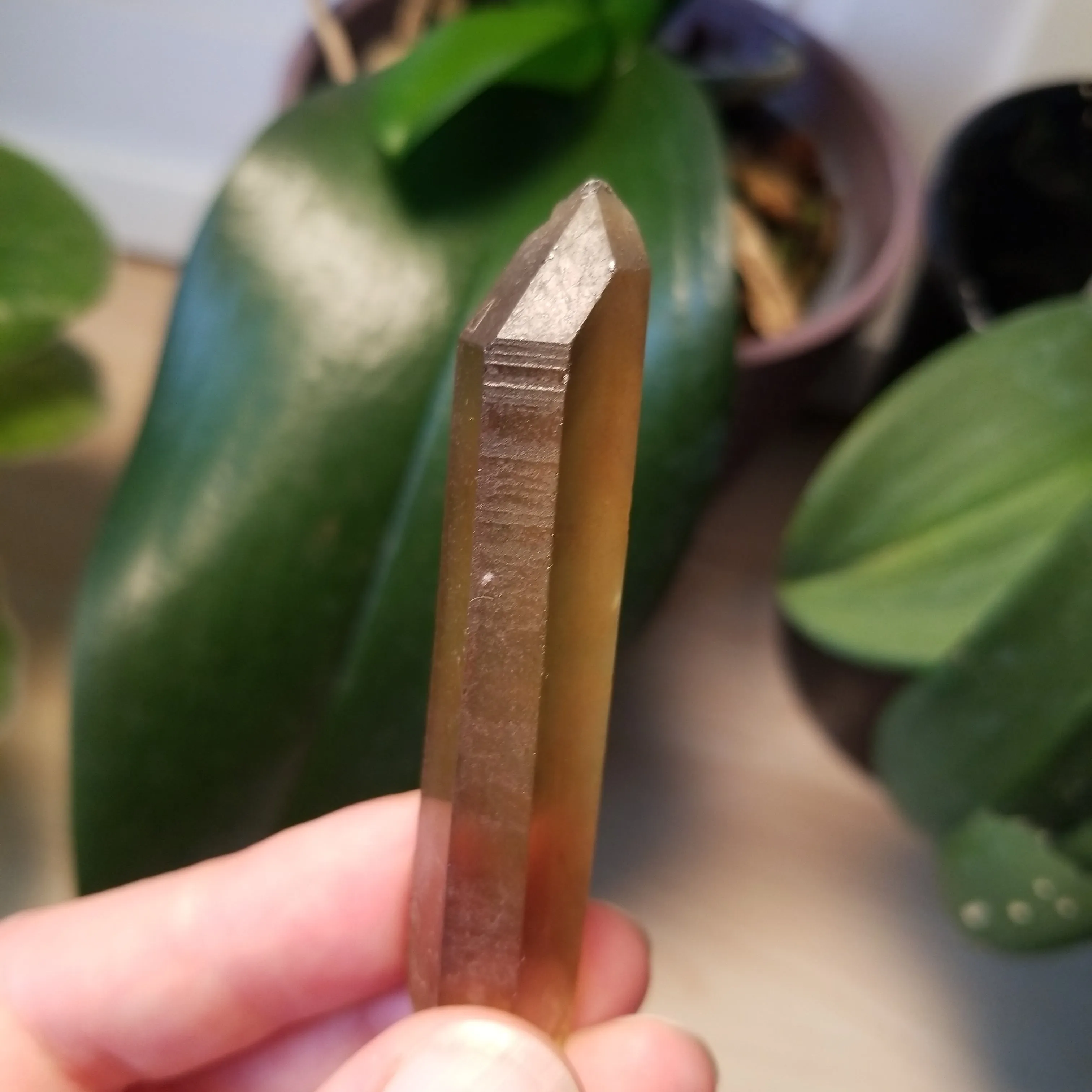 Bulk lot of 6 Natural Citrine, Citrine Quartz From Mansa, Zambia, Citrine Points