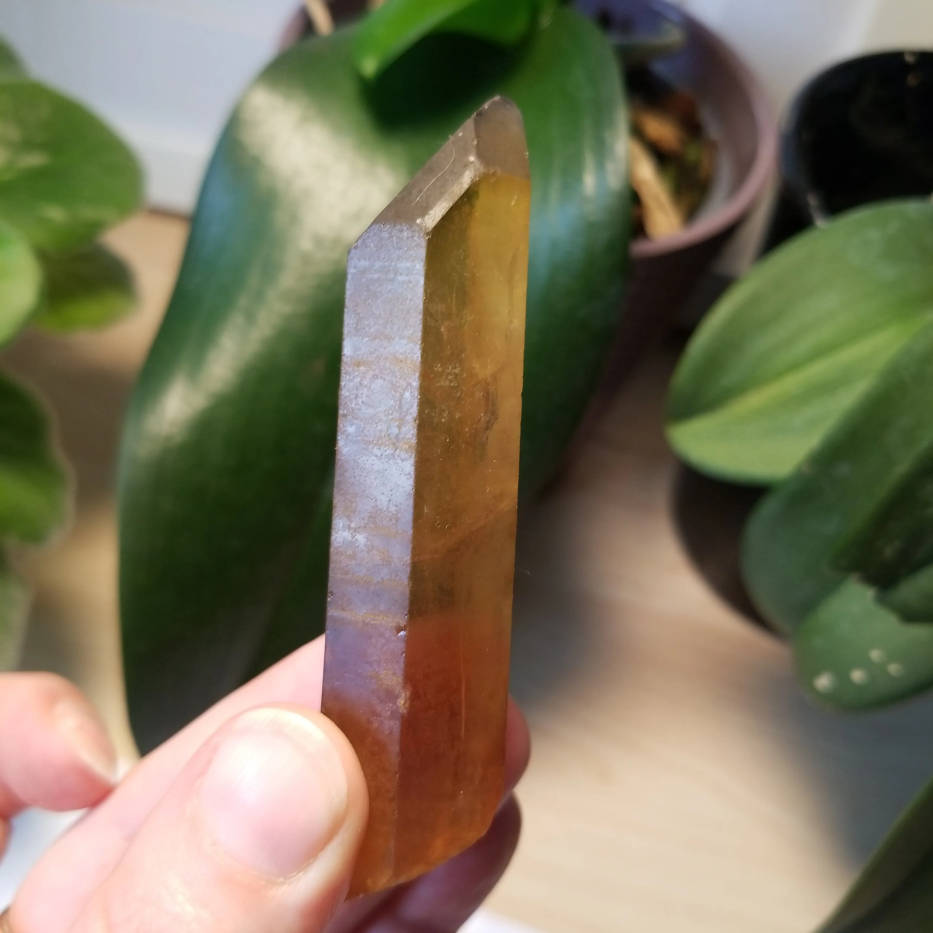 Bulk lot of 6 Natural Citrine, Citrine Quartz From Mansa, Zambia, Citrine Points