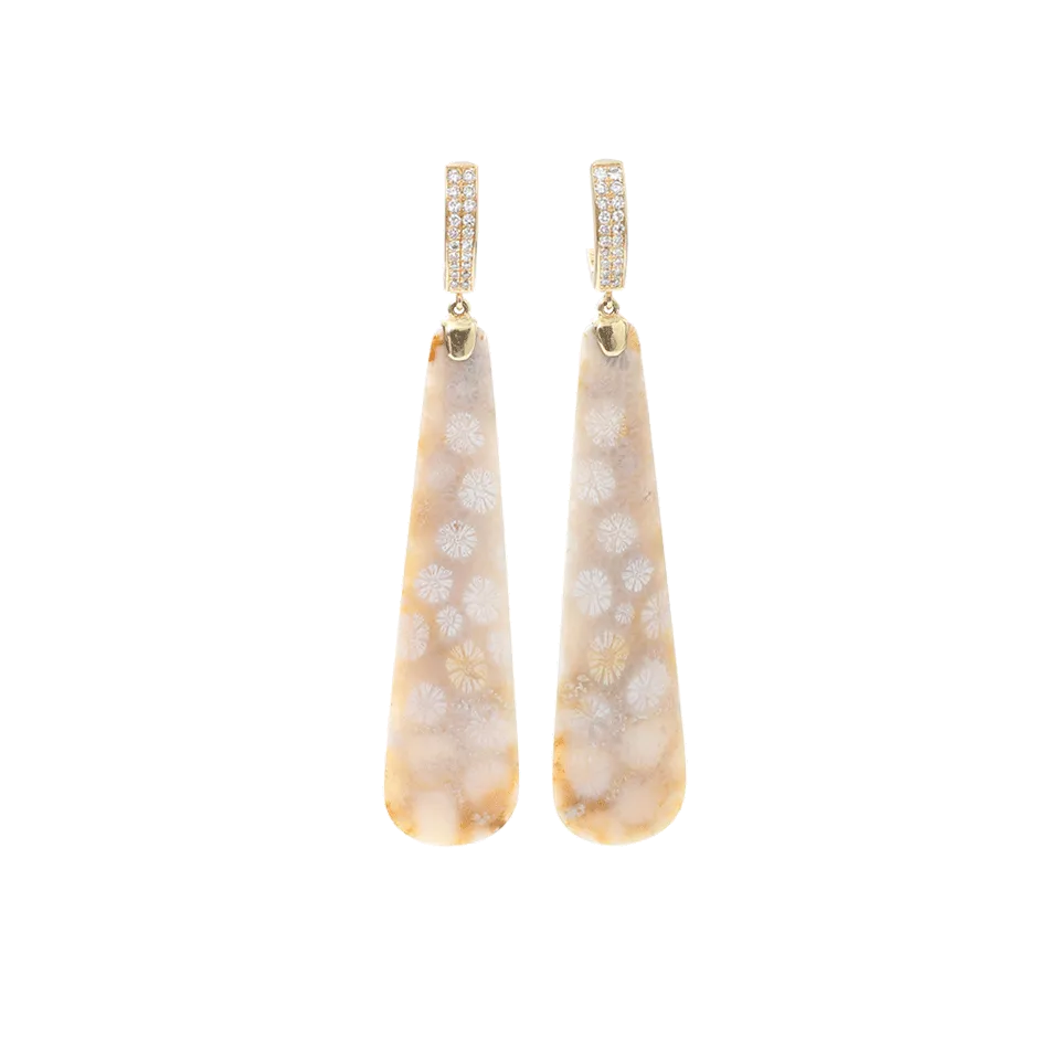 Fossilized Coral Earrings