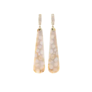 Fossilized Coral Earrings